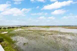 2133 Tides End Rd, Charleston, SC 29412 - Photo 53