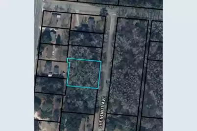 74 Chestnut Avenue, Denmark, SC 29042 - Photo 3