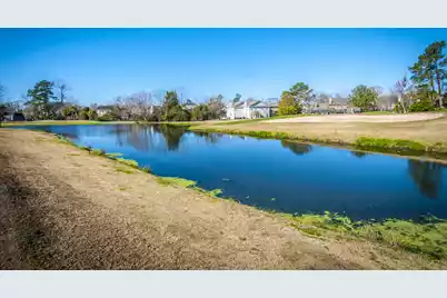 99 Fieldfare Way, Charleston, SC 29414 - Photo 61