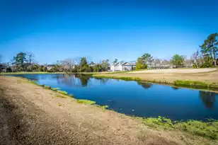 99 Fieldfare Way, Charleston, SC 29414 - Photo 61