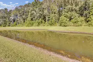 209 Omalley Dr, Summerville, SC 29483 - Photo 45