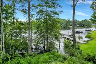 10841 Hwy 260, Manning, SC 29102 - Photo 81