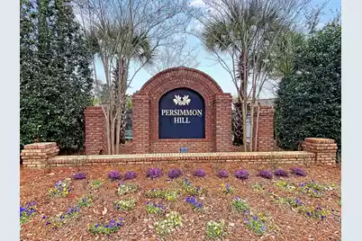 201 Darcy Avenue, Goose Creek, SC 29445 - Photo 31