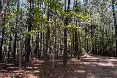00 Givhans Ferry Road, Ridgeville, SC 29472 - Photo 23