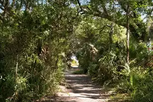 14 55th Ave, Isle Of Palms, SC 29451 - Photo 3
