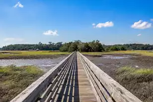 3906 Heron Marsh Cir, Johns Island, SC 29455 - Photo 45