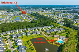 201 Bigleaf Ct, Summerville, SC 29486 - Photo 103