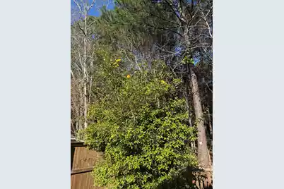 1156 Marsh Harbour Lane, Charleston, SC 29492 - Photo 31