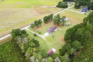 341 Sugar Hill Rd, Saint George, SC 29477 - Photo 65