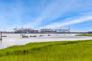 217 Black Powder Ln, Daniel Island, SC 29492 - Photo 65