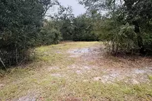 0 Fisk Rd, Dorchester, SC 29437 - Photo 7