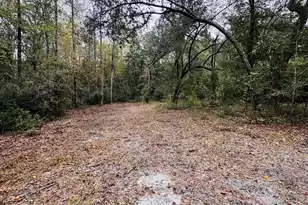 0 Fisk Rd, Dorchester, SC 29437 - Photo 5