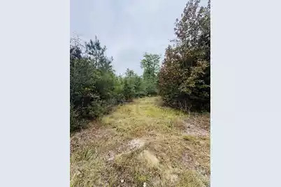 00 Fisk Road, Dorchester, SC 29437 - Photo 5