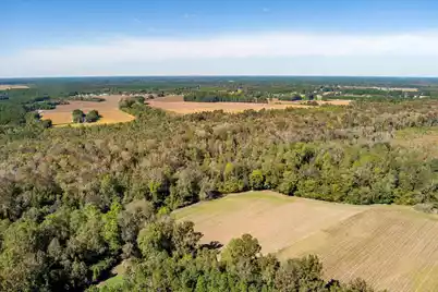 244 Hodges Road, Kingstree, SC 29556 - Photo 103