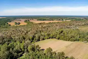 244 Hodges Rd, Kingstree, SC 29556 - Photo 103