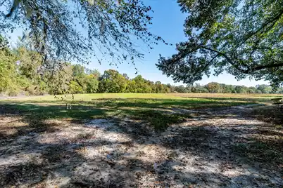 244 Hodges Road, Kingstree, SC 29556 - Photo 65