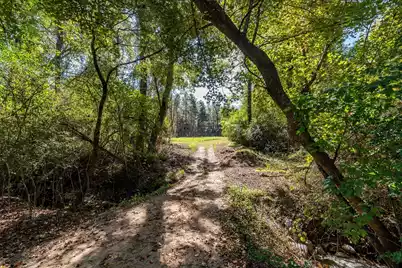 244 Hodges Road, Kingstree, SC 29556 - Photo 67