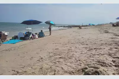 60 Rice Lane, Edisto Beach, SC 29438 - Photo 43