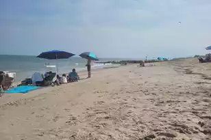 60 Rice Ln, Edisto Beach, SC 29438 - Photo 43