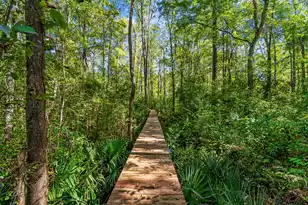 3293 Center Rd, Georgetown, SC 29440 - Photo 61