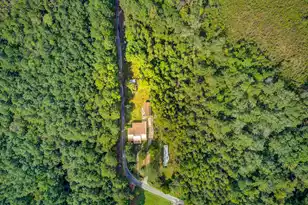 226 Smith Ln, Bowman, SC 29018 - Photo 11