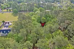 7271 George Washington Ln, Awendaw, SC 29429 - Photo 61