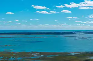 3809 Tim Ascue Ln, Mount Pleasant, SC 29429 - Photo 13