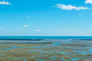 3809 Tim Ascue Ln, Mount Pleasant, SC 29429 - Photo 15