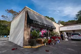 609 Du Bois Dr, Johns Island, SC 29455 - Photo 67