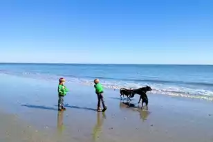 280 Driftwood Ln, Edisto Beach, SC 29438 - Photo 51