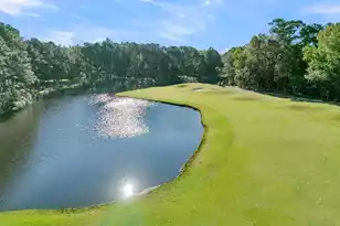 3708 Colonel Vanderhorst Cir, Mount Pleasant, SC 29466 - Photo 3