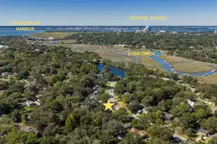 933 Shem Dr S, Mount Pleasant, SC 29464 - Photo 51