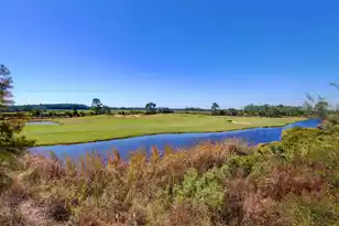 1876 Great Hope Dr, Mount Pleasant, SC 29466 - Photo 31