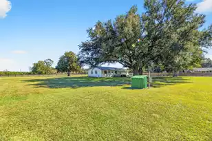 294 Nates Store Rd, Cameron, SC 29030 - Photo 25