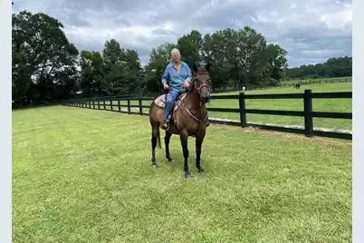 294 Nates Store Road, Cameron, SC 29030 - Photo 41