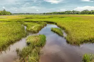 1344 Pelican Watch Villa, Seabrook Island, SC 29455 - Photo 61