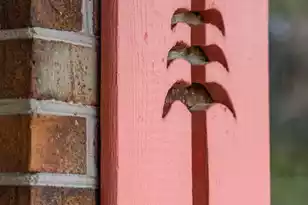 912 Ashley Ave W, Folly Beach, SC 29439 - Photo 13