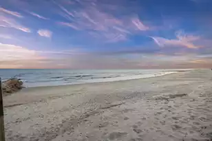 309 Palmetto Blvd, Edisto Island, SC 29438 - Photo 47