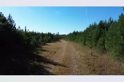 16 Hwy 311, Cross, SC 29436 - Photo 9