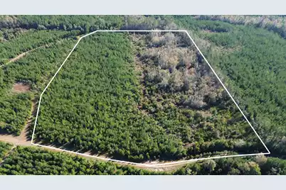 16 Hwy 311, Cross, SC 29436 - Photo 1