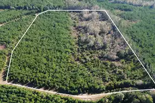 16 Hwy 311, Cross, SC 29436 - Photo 1