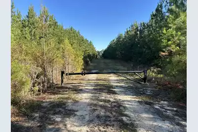 16 Hwy 311, Cross, SC 29436 - Photo 3
