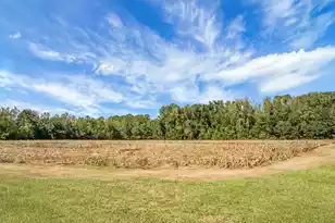 1763 Kingstree Hwy, Manning, SC 29102 - Photo 55