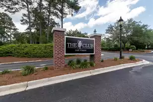 103 Innisbrook Bend, Summerville, SC 29483 - Photo 51