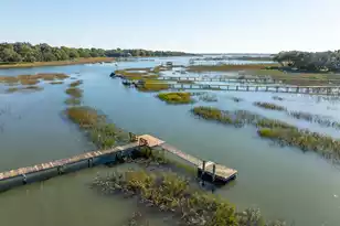 1462 Harborsun Dr, Charleston, SC 29412 - Photo 3