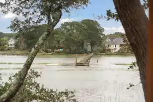 1462 Harborsun Dr, Charleston, SC 29412 - Photo 41