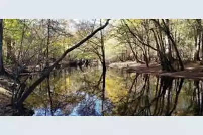 0 Sandy Pines Road, Dorchester, SC 29437 - Photo 1