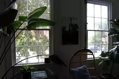 17 Judith Street, Charleston, SC 29403 - Photo 31