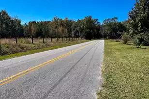 360 Bridge St, Branchville, SC 29432 - Photo 37