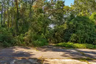 3019 Ion Ave, Sullivans Island, SC 29482 - Photo 5